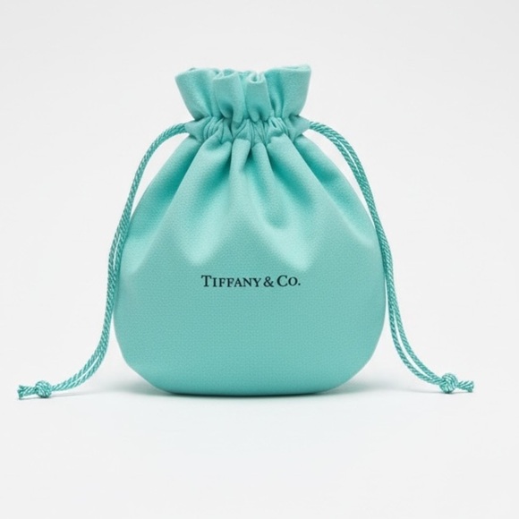 Tiffany & Co. Handbags - Tiffany & Co. Turquoise Large Drawstring Pouch